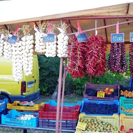 Eva Apartman Daire Fonyód Dış mekan fotoğraf